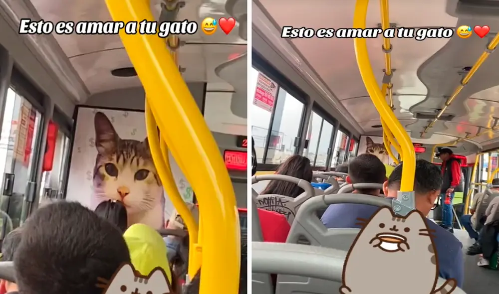 Las imágenes conmovieron los corazones de miles en redes sociales. Foto: composición LR/TikTok/@dtodoproduce