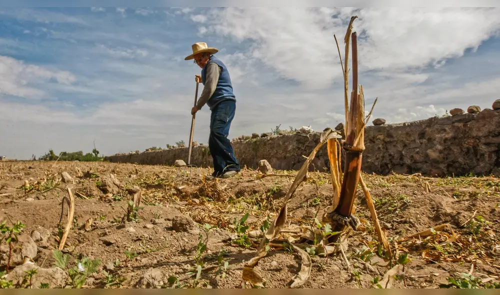 Las emisiones de gases de efecto invernadero procedentes de los sistemas agroalimentarios aumentaron un 10% entre 2000 y 2021. Foto: La República Las emisiones de gases de efecto invernadero procedentes de los sistemas agroalimentarios aumentaron un 10% entre 2000 y 2021. Foto: La República