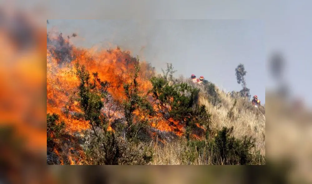 Los incendios forestales son recurrentes en el Perú. Foto: Actualidad Ambiental