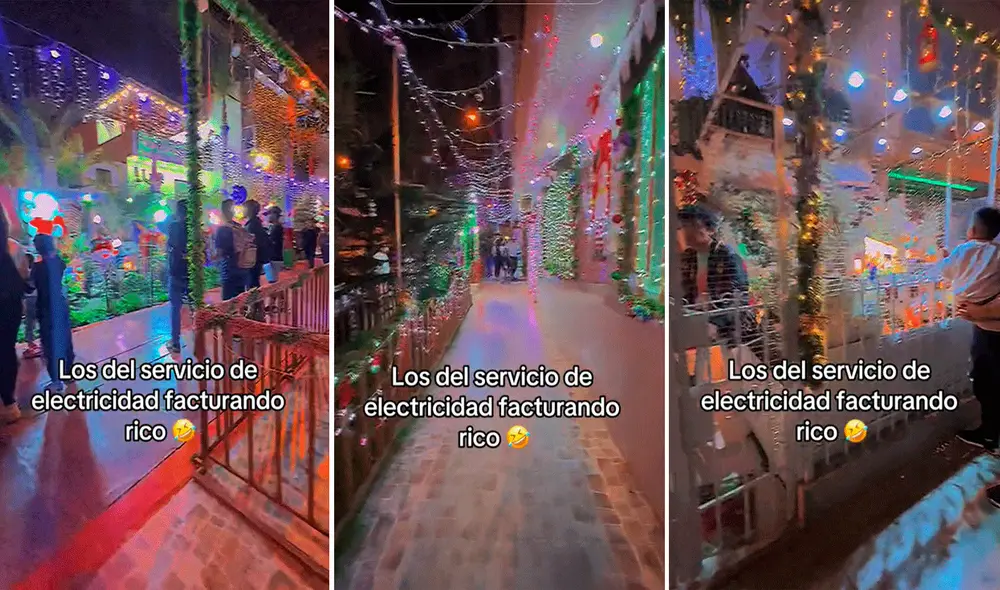 Las imágenes emocionaron a muchos usuarios en redes sociales. Foto: composición LR/TikTok/@estrellahelena