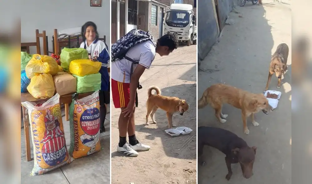 Escolares alimentan con croquetas a los perros que viven en las calles. Foto: cortesía