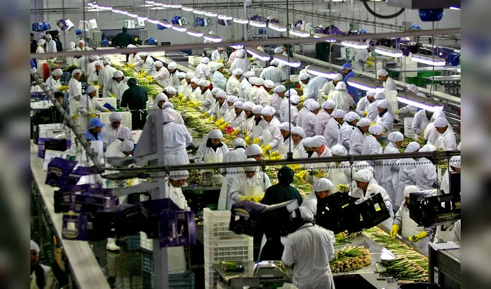 Por 20 años las agroexportadoras pagaron una tasa de 4%, cuando en otros sectores el aporte es de 9%. Foto: difusión Por 20 años las agroexportadoras pagaron una tasa de 4%, cuando en otros sectores el aporte es de 9%. Foto: difusión