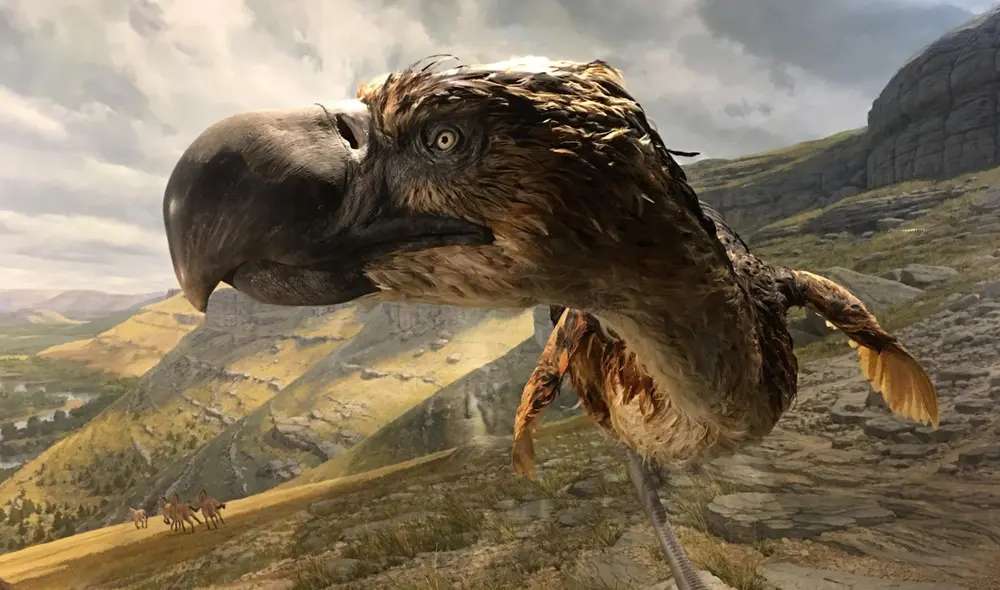 Los pájaros del terror, también llamados fororracos, fueron uno de los depredadores más feroces de Sudamérica. Foto: Devianart Los pájaros del terror, también llamados fororracos, fueron uno de los depredadores más feroces de Sudamérica. Foto: Devianart