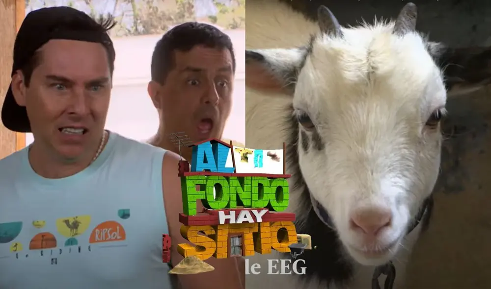 'Al fondo hay sitio': Melitón, la cabra, se come los ahorros de Pepe y Tito. Foto: composición LR/captura América TV