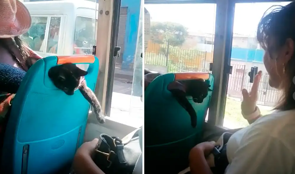 Las imágenes sacaron las sonrisas de los usuarios en redes sociales. Foto: composición LR/captura de TikTok/@sheyd_c_h Las imágenes sacaron las sonrisas de los usuarios en redes sociales. Foto: composición LR/captura de TikTok/@sheyd_c_h