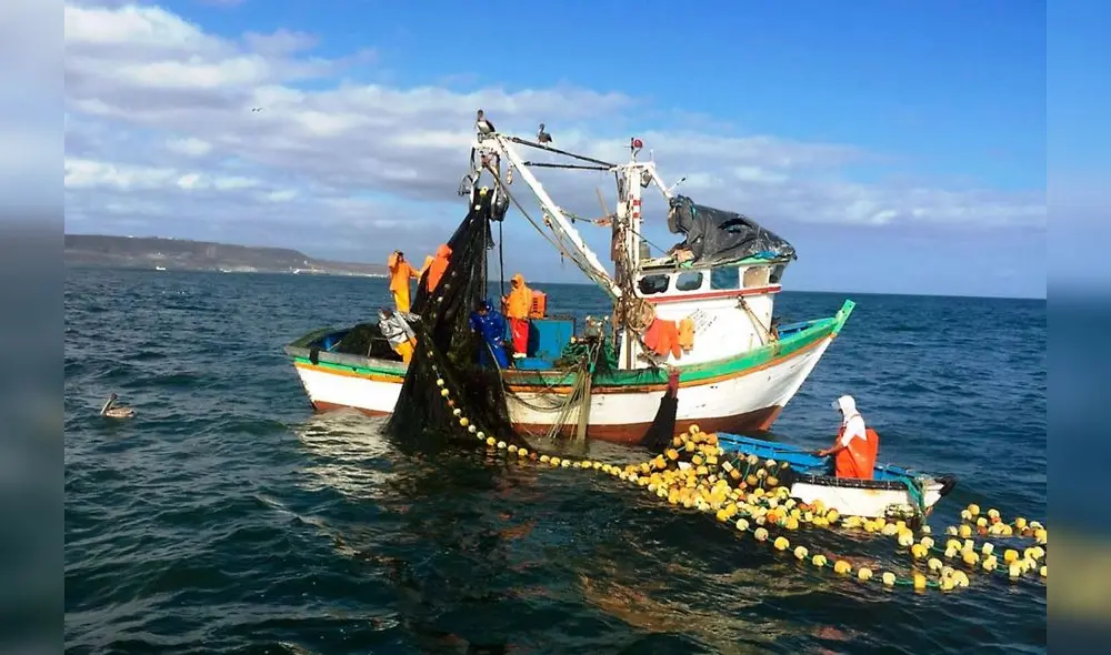 El Organismo Nacional de Sanidad Pesquera (Sanipes) es una entidad adscrita a Ministerio de la Producción. Foto: difusión El Organismo Nacional de Sanidad Pesquera (Sanipes) es una entidad adscrita a Ministerio de la Producción. Foto: difusión