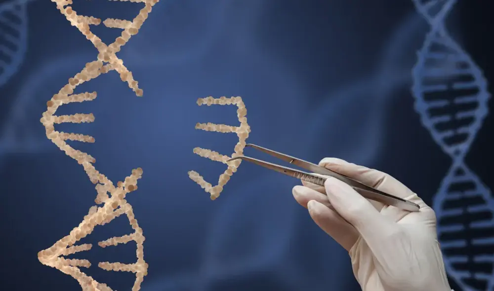 Se trata de la primera terapia génica basada en CRISPR que se aprueba en el mundo. Foto: composición de Gerson CardosoFoto: mostphotos