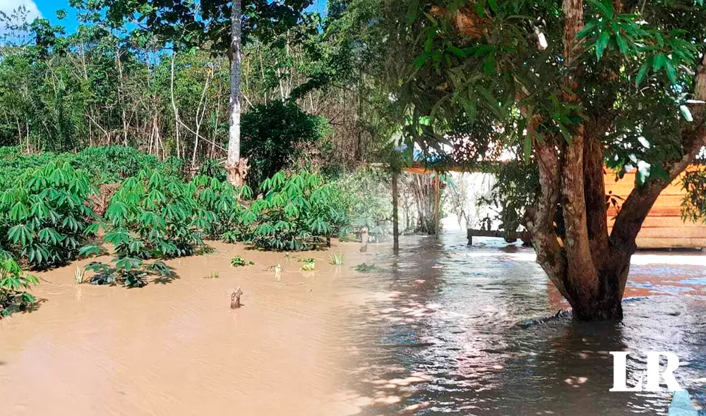 Crecida del río Madre de Dios podría afectar a más comunidades nativas. Foto: composición de Fabrizio Oviedo/La República Crecida del río Madre de Dios podría afectar a más comunidades nativas. Foto: composición de Fabrizio Oviedo/La República