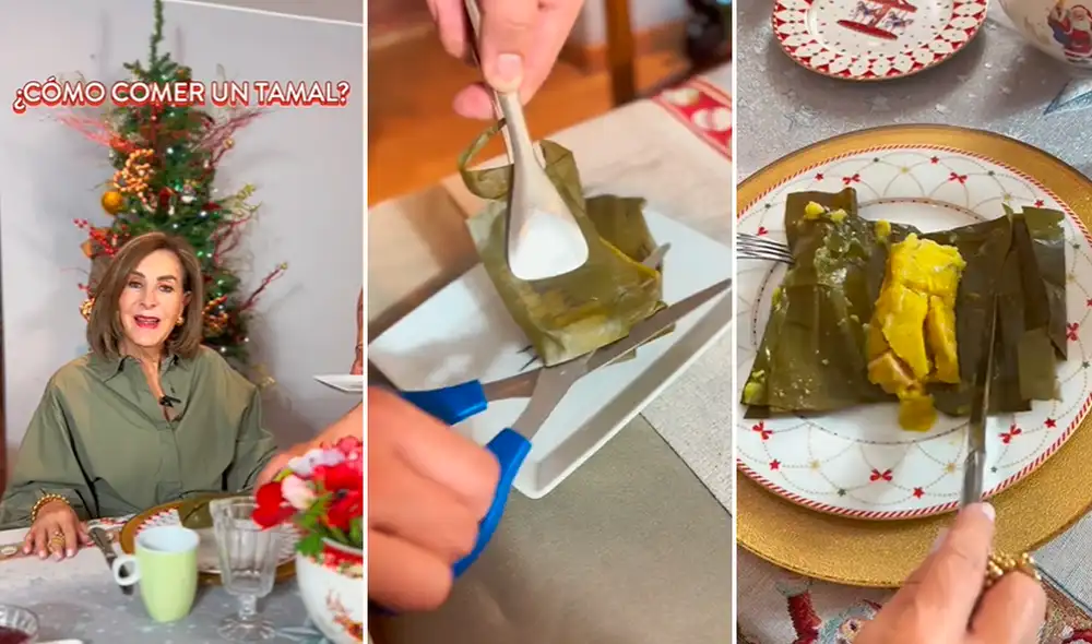 Los usuarios tuvieron apreciaciones divididas acerca de las recomendaciones de la mujer. Foto: composición LR/TikTok/@carminavillegas.cv