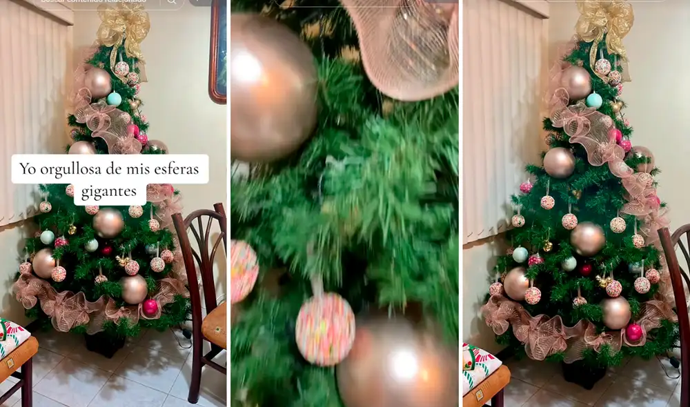 Las imágenes sacaron más de una sonrisa en redes sociales. Foto: composición LR/captura de TikTok/@fanikiss