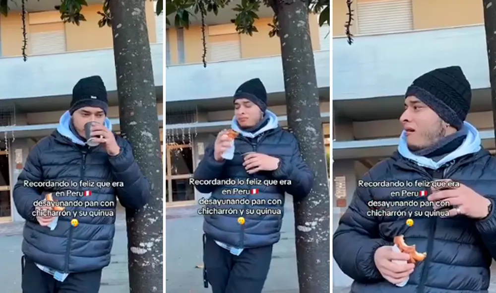 Las imágenes generaron gran cantidad de comentarios. Foto: composición LR/captura de TikTok/@juancarro43