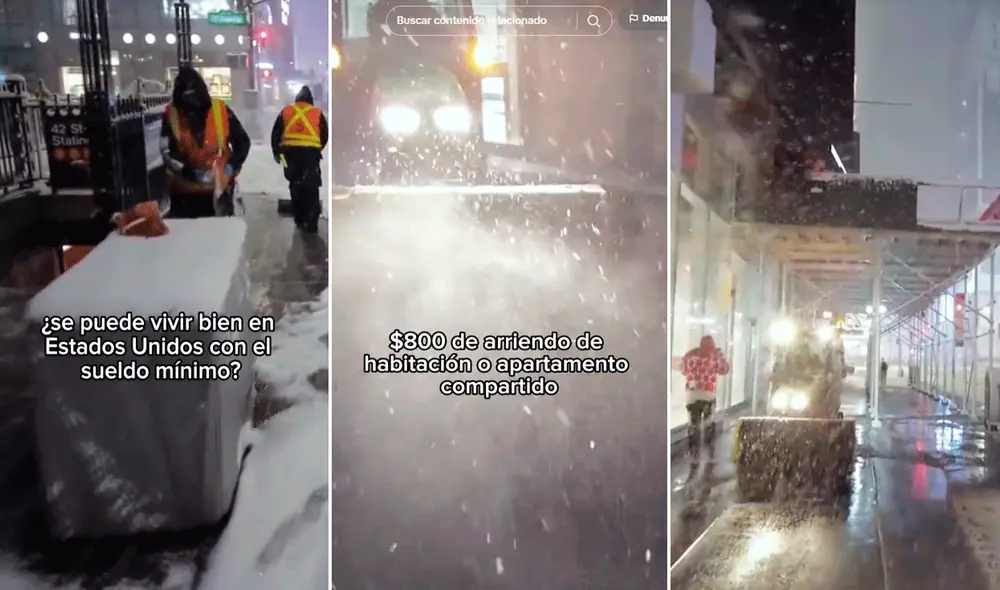 Las imágenes generaron una ola de comentarios en redes sociales. Foto: composición LR/TikTok/@satironyc