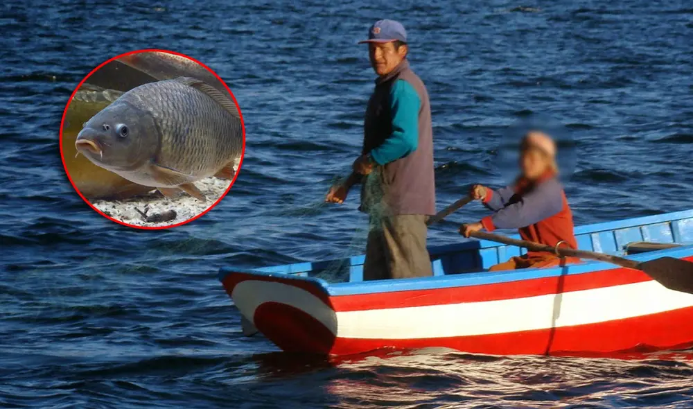 El espécimen causó asombro entre los pescadores, puesto que es una especie exótica. Foto: composición LR/renechuracruz