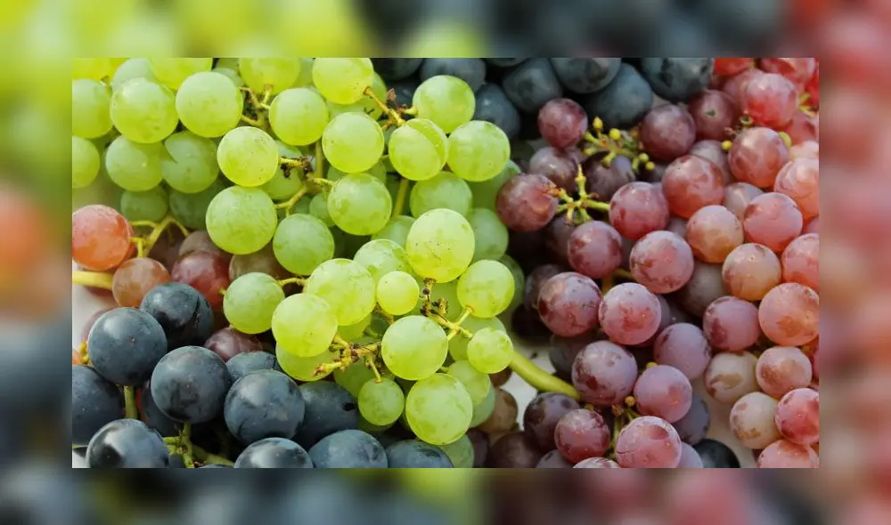 Se exportaron 7.270 toneladas de uva en la última semana, 92 veces más que la misma semana del año pasado. Foto: Archivo LR Se exportaron 7.270 toneladas de uva en la última semana, 92 veces más que la misma semana del año pasado. Foto: Archivo LR