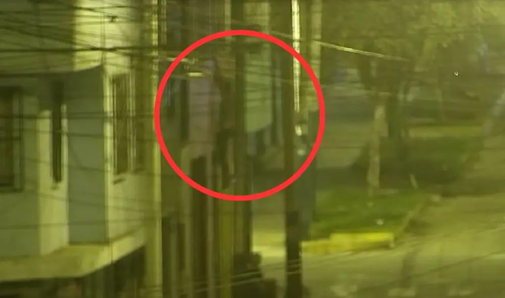 La pareja brindó explicaciones al Serenazgo. Foto: composición LR/ captura de pantalla/TV Perú La pareja brindó explicaciones al Serenazgo. Foto: composición LR/ captura de pantalla/TV Perú