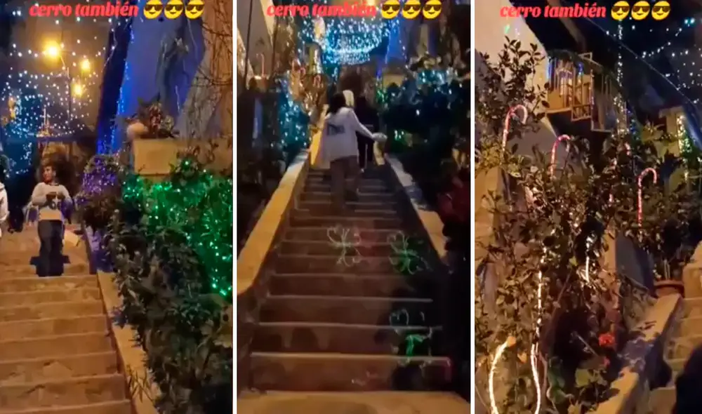 Las imágenes fueron aplaudidas por los usuarios por la gran creatividad de los vecinos. Foto: composición LR/TikTok/@joselynrojasmena