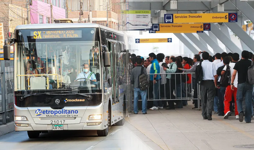 Los próximos sábados y domingos serán los días con más flujo de buses. Foto: composición de Jazmín Ceras/La República Los próximos sábados y domingos serán los días con más flujo de buses. Foto: composición de Jazmín Ceras/La República