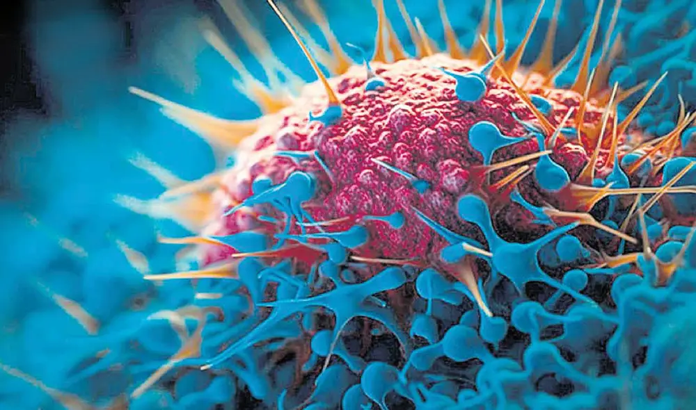 Ciencia. El biólogo británico Ben Lenher autor del estudio que salió publicado en la revista Nature Ciencia. El biólogo británico Ben Lenher autor del estudio que salió publicado en la revista Nature