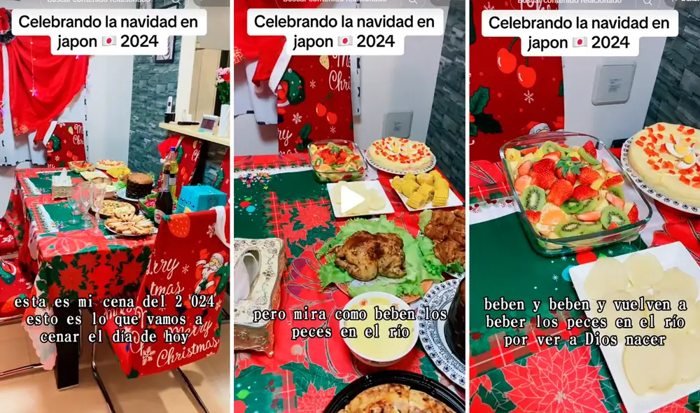 Las imágenes sacaron más de una sonrisa en redes sociales. Foto: composición LR/TikTok/@girl2484
