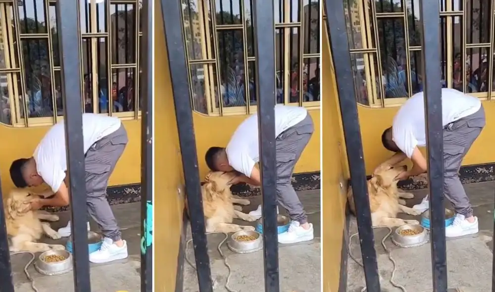 Piero Quispe jugará por Pumas de la Liga MX. Foto: composición LR