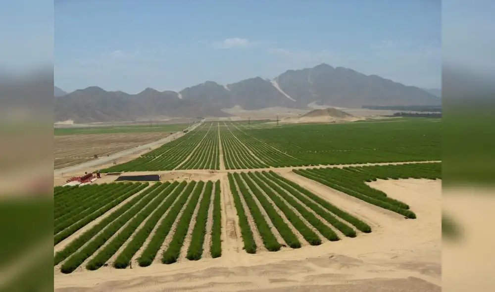 Canadá y países han mostrado interés en ejecución de Chavimochic III. Foto: difusión Canadá y países han mostrado interés en ejecución de Chavimochic III. Foto: difusión