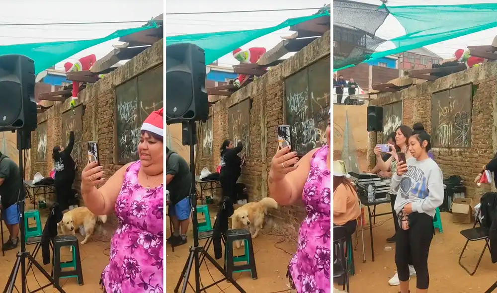 Usuarios no tardaron en dejar sus divertidos comentarios. Foto: composición LR/TikTok/@ally63112