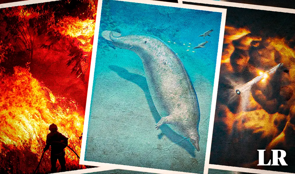 Te resumimos los avances científicos más importantes del 2023. Foto: composición de Gerson Cardoso / La República