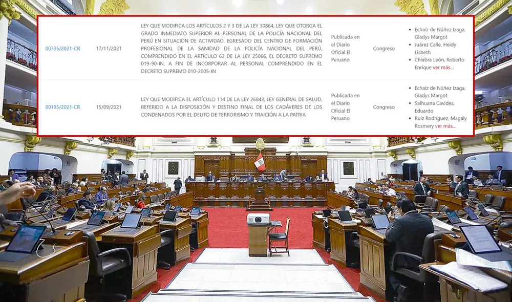 Ambos proyectos fueron presentados durante el 2021, luego de ello no volvió a presentar otra iniciativa en calidad de autora principal. Foto: composición LR