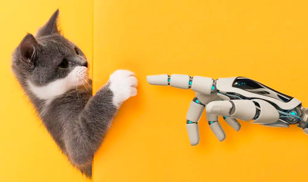 El servicio es de acceso totalmente gratuito. Foto: Thevetiverse