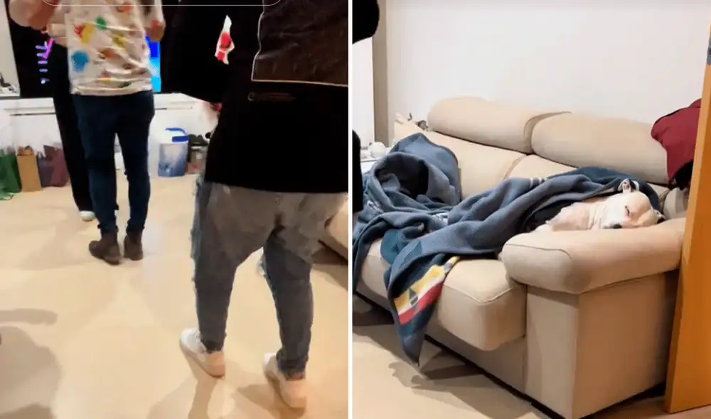 Las imágenes sacaron más de una sonrisa en redes sociales. Foto: composición LR/TikTok/@gabbycjc Las imágenes sacaron más de una sonrisa en redes sociales. Foto: composición LR/TikTok/@gabbycjc