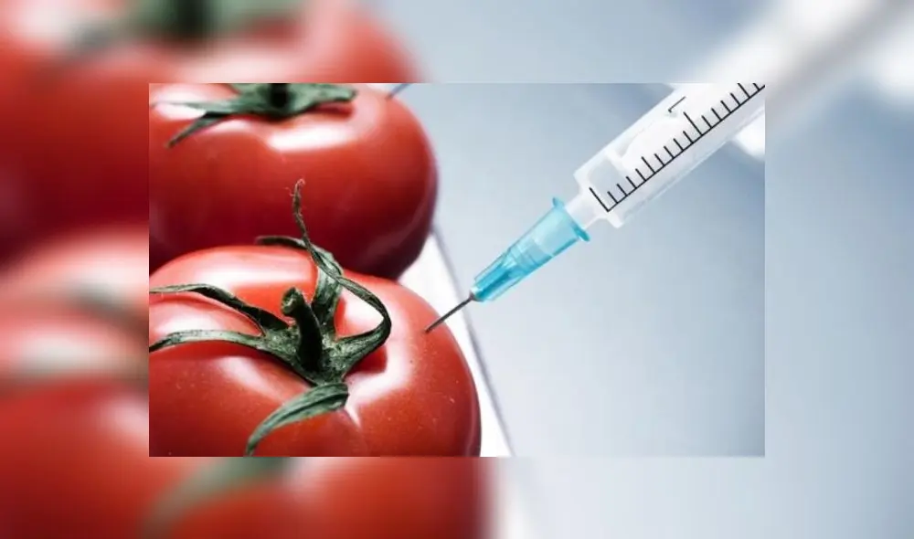 Transgénicos. La Ley 31111, de moratoria para la producción y liberación al ambiente de OVM en el Perú, data del 2021. Foto: difusión Transgénicos. La Ley 31111, de moratoria para la producción y liberación al ambiente de OVM en el Perú, data del 2021. Foto: difusión