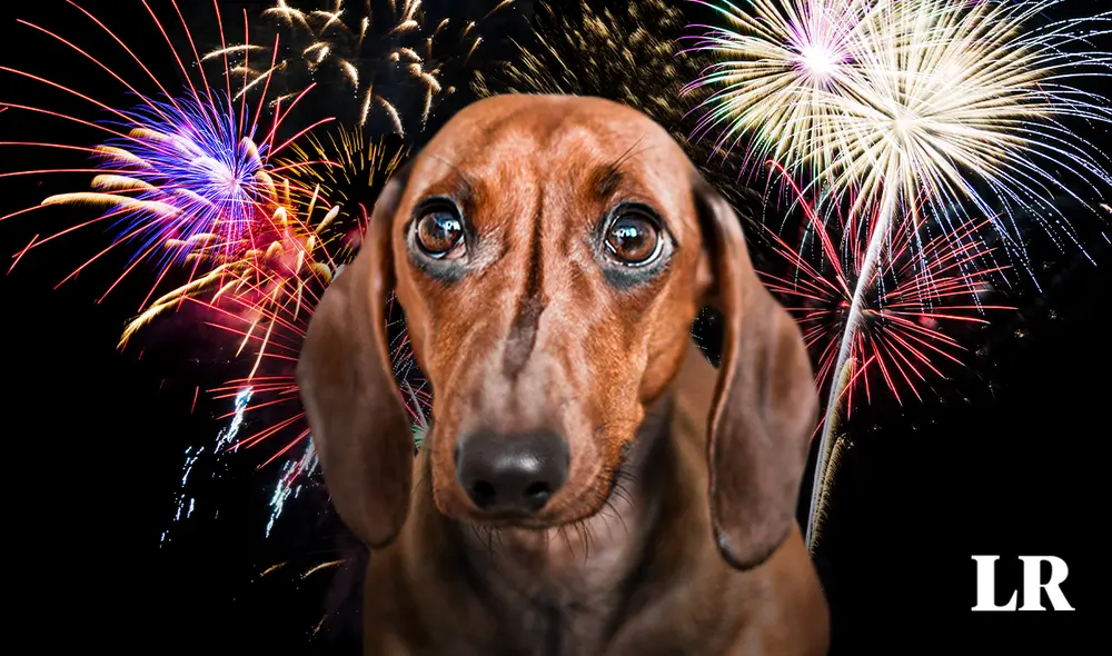 Los fuegos artificiales emiten sonidos de hasta 190 decibelios. Foto: composición LR / Freepik