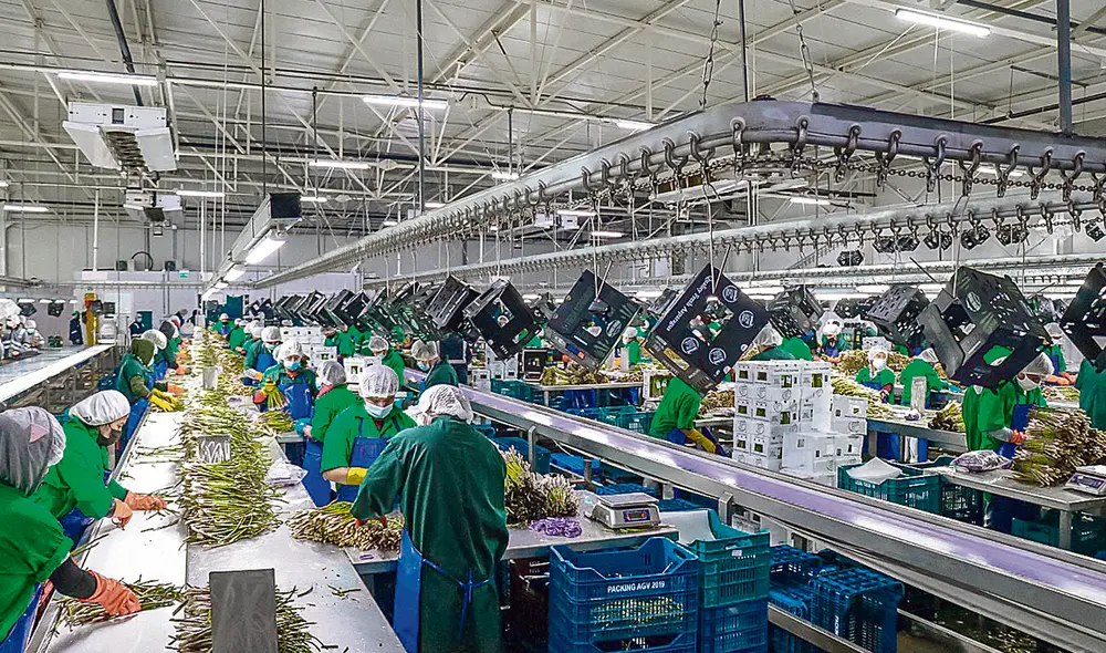 Inadvertencia. Este 2024, los aportes para la salud de los trabajadores del sector iban a elevarse de 7% a 8%. MEF optó por reducir la tasa. Foto: Cortesía