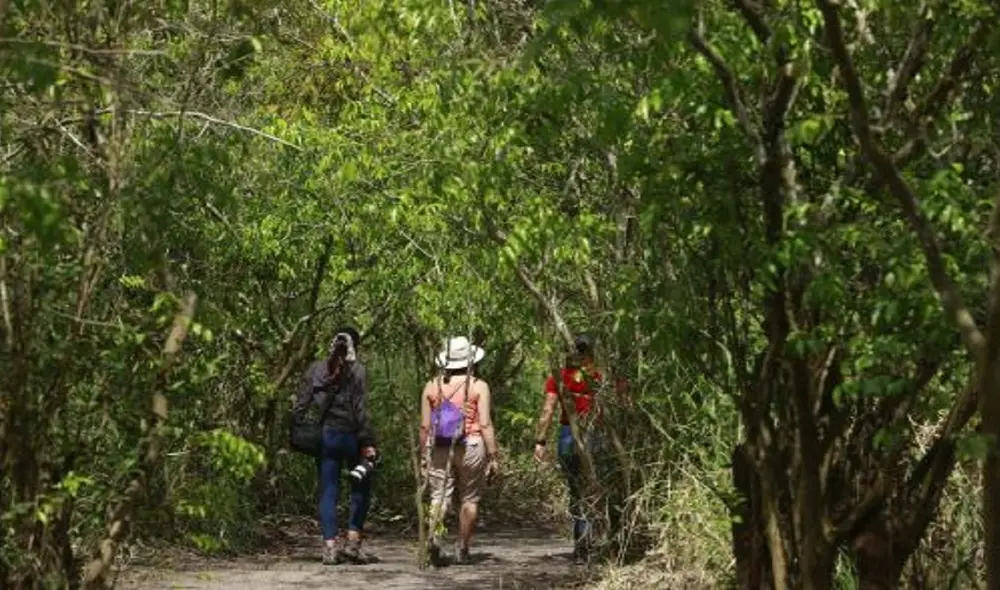 Turistas visitan Pucallpa por su exuberante selva amazónica. Foto: Andina