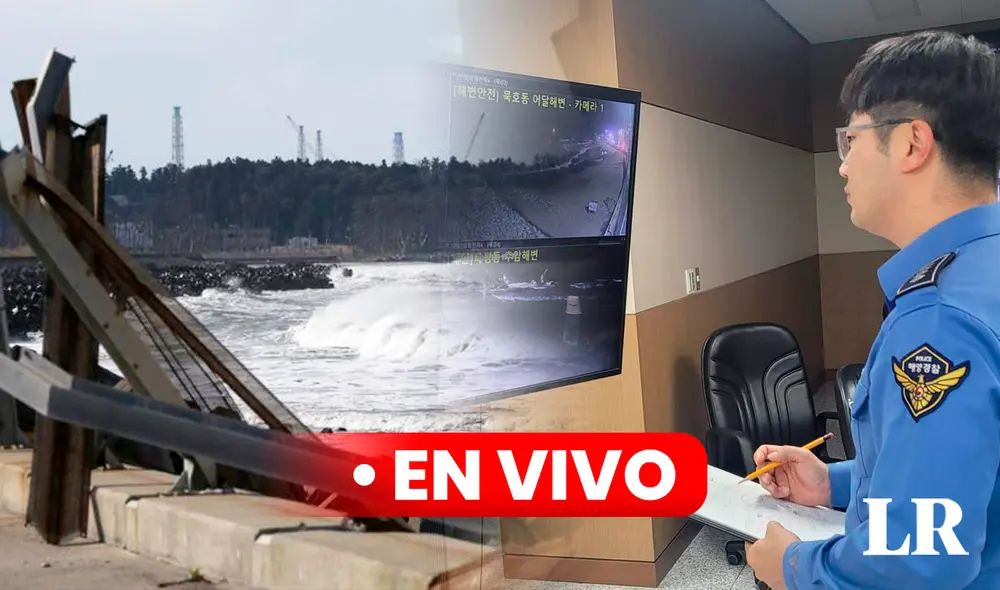 El terremoto de 7,6 y los subsiguientes tsunamis han recordado a los que azotaron el noreste de Japón el 11 de marzo de 2011 y causaron la muerte de 18.000 personas. Foto: composición de Fabrizio Oviedo/EFE