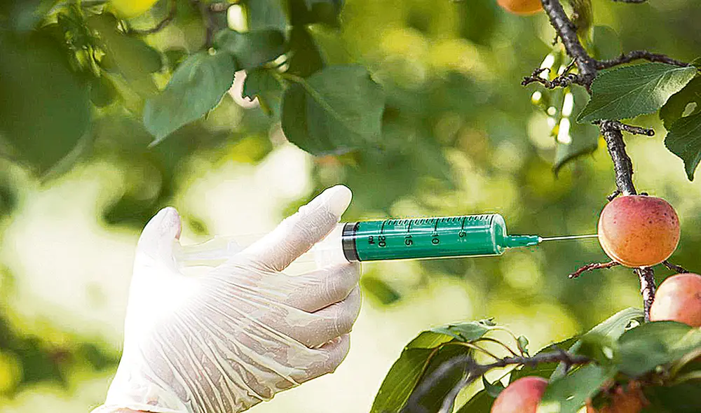 Biodiversidad. Monsanto es uno de los principales fabricantes de semillas OVM en el mundo. Foto: difusión