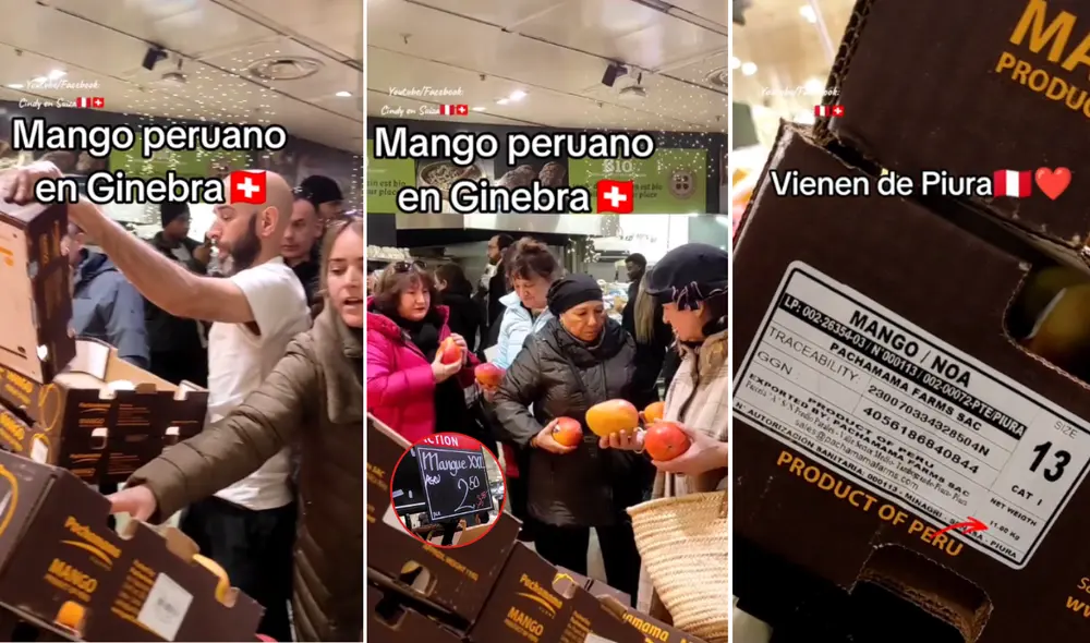 El video generó una ola de comentarios en las redes sociales. Foto: composición LR/TikTok/@cindyensuiza