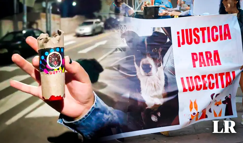 Caso se maltrato animal se registró el último martes. Foto: composición LR/ difusión