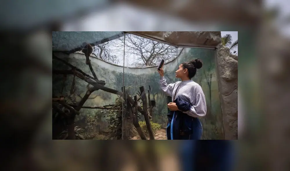 Parque de las Leyendas. Foto: Municipalidad de Lima Parque de las Leyendas. Foto: Municipalidad de Lima