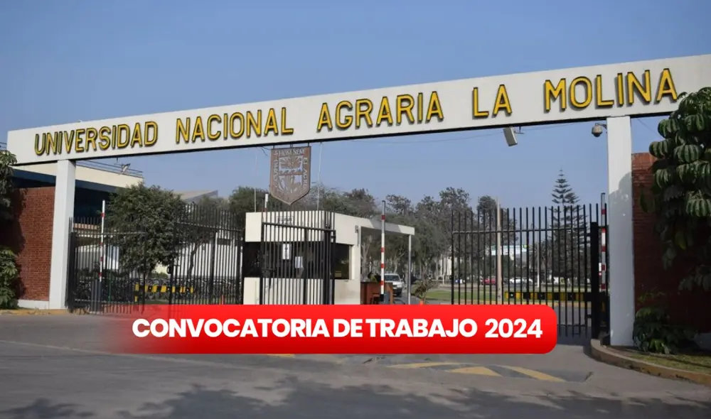 La Universidad Nacional Agraria tiene una convocatoria laboral disponible hasta el 12 de enero. Foto: composición LR/Andina La Universidad Nacional Agraria tiene una convocatoria laboral disponible hasta el 12 de enero. Foto: composición LR/Andina