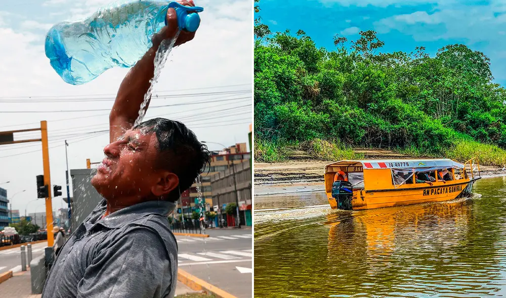 La selva registró algunos de las cifras más altas. Foto: Composición LR / Andina
