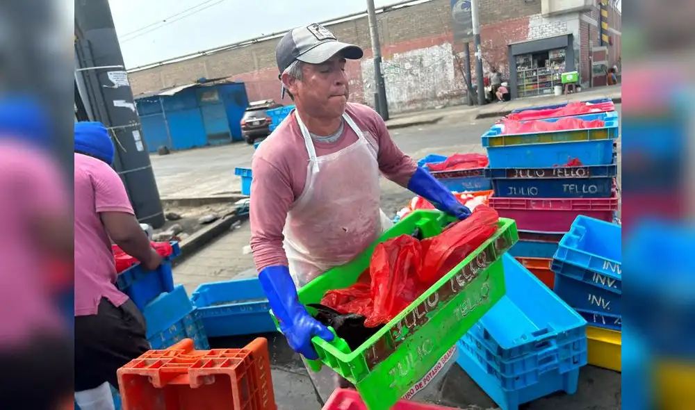 El precio jurel subió a S/5,00; el perico, a S/8,00; y la pota, a S/7,00. Foto: Barbara Mamani/LR