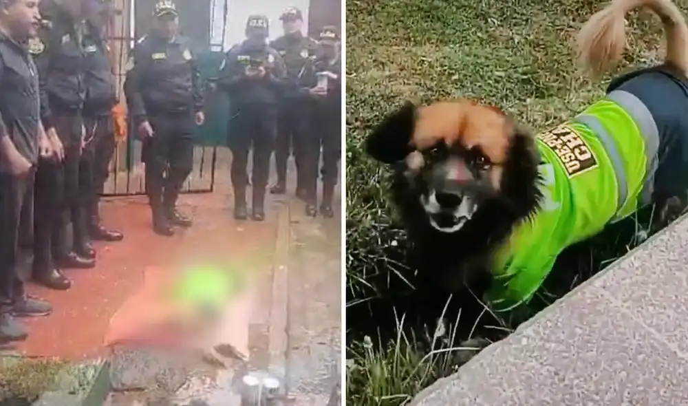 Muerte de Chatito conmovió a los policías de la USE Puno. Foto: composición LR/Liubomir Fernández/captura TikTok Muerte de Chatito conmovió a los policías de la USE Puno. Foto: composición LR/Liubomir Fernández/captura TikTok