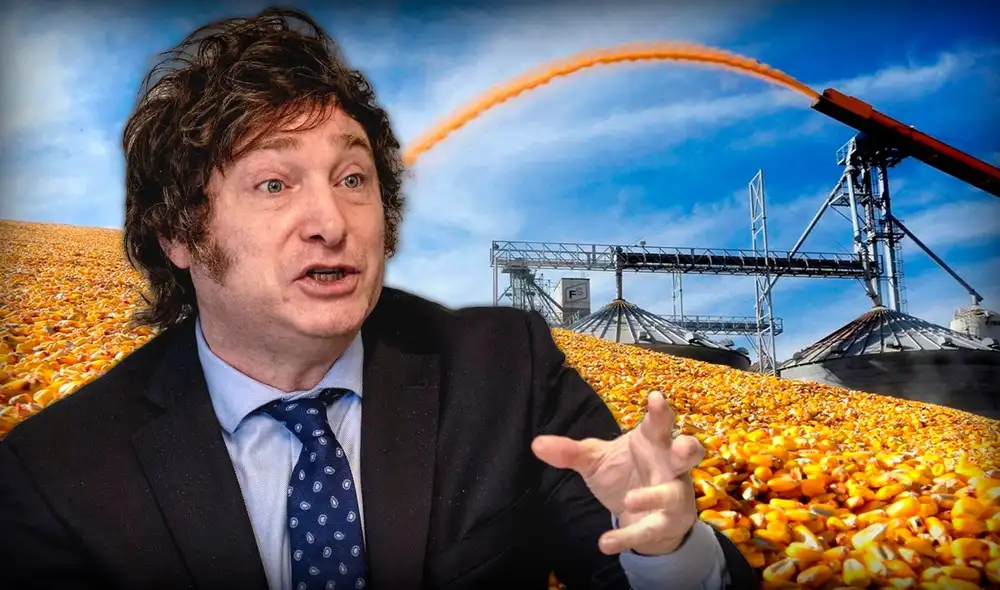 Durante el 2023, el maíz se vendía a más de US$300 la tonelada. Foto: composición LR