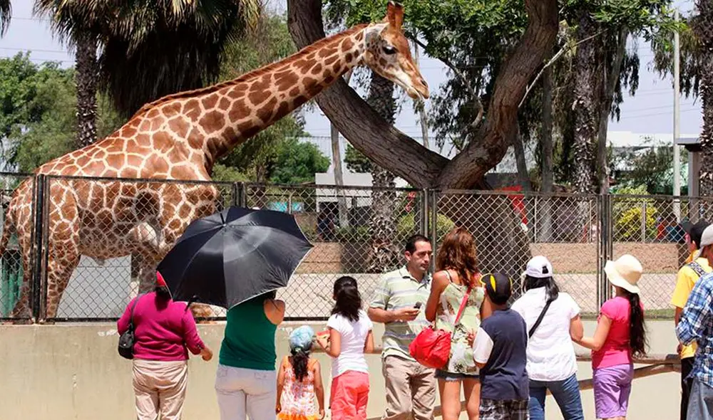 El Parque de las Leyendas reduce el costo de entradas para niños y adultos mayores. Foto: PerúInfo