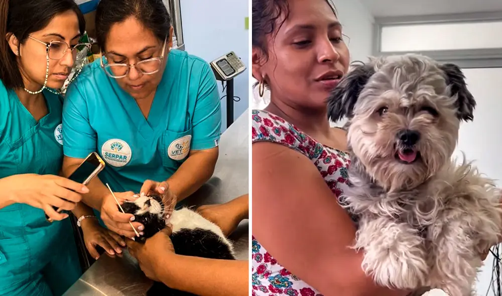 La Veterinaria Solidaria de Comas se inauguró en 2023. Foto: composición LR/Instagram/Serpar La Veterinaria Solidaria de Comas se inauguró en 2023. Foto: composición LR/Instagram/Serpar