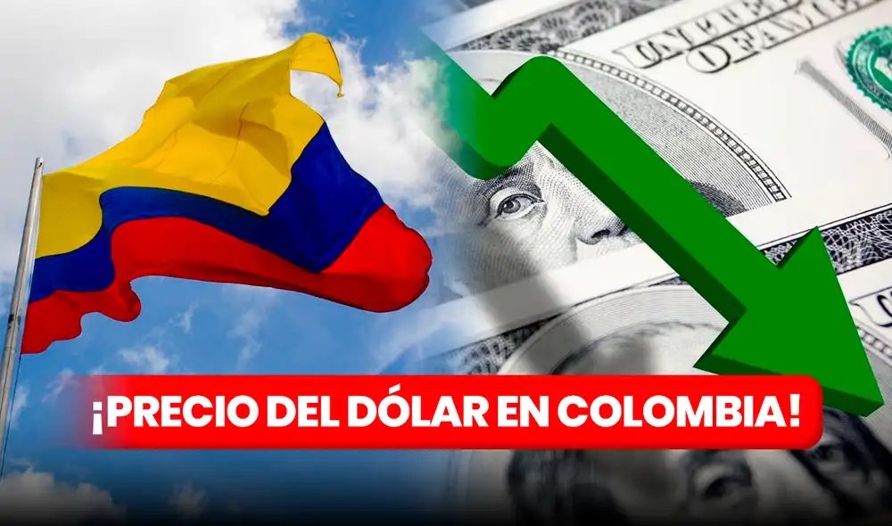 Cotización del dólar HOY, viernes 12 de enero, en Colombia. Foto: composición LR/PC/FreeImage Cotización del dólar HOY, viernes 12 de enero, en Colombia. Foto: composición LR/PC/FreeImage