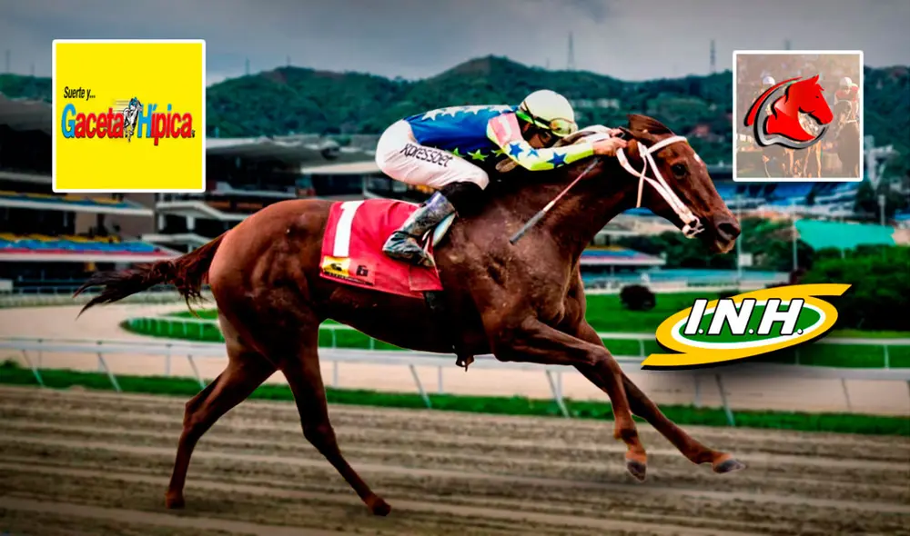 Revisa los mejores pronósticos para sellar tu 5y6 este domingo 14 de enero. Foto: composición LR/INH Revisa los mejores pronósticos para sellar tu 5y6 este domingo 14 de enero. Foto: composición LR/INH