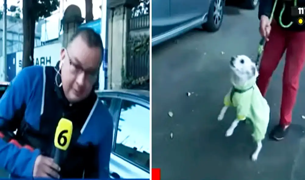 Las imágenes no tardaron en generar una ola de comentarios. Foto: composición LR/YouTube/@TelediarioMX