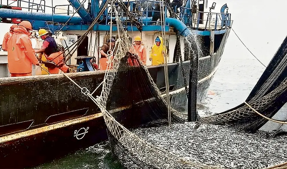 Rebote. Segunda temporada de pesca inició en octubre, lo que empujó la cifra, pues en 2022 la actividad se retrasó un mes. Foto: difusión Rebote. Segunda temporada de pesca inició en octubre, lo que empujó la cifra, pues en 2022 la actividad se retrasó un mes. Foto: difusión